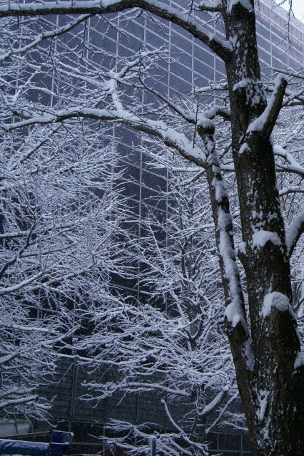 c0106977_22485289.jpg