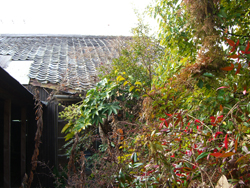 d0104177_21543684.jpg