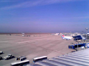 e0060483_19595983.jpg
