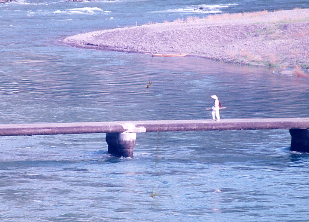 e0073691_652453.jpg