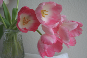 c0033994_1327435.jpg