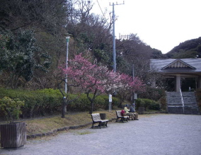 c0008598_1047457.jpg