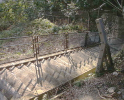 c0008598_10595920.jpg