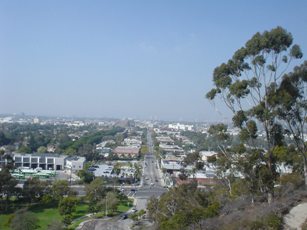 f0099300_1393810.jpg
