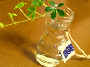 f0109900_1248959.jpg