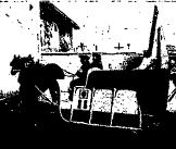 f0028703_15525436.jpg