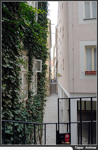 f0080510_8534561.jpg