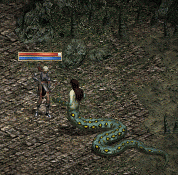 d0110314_14482722.gif