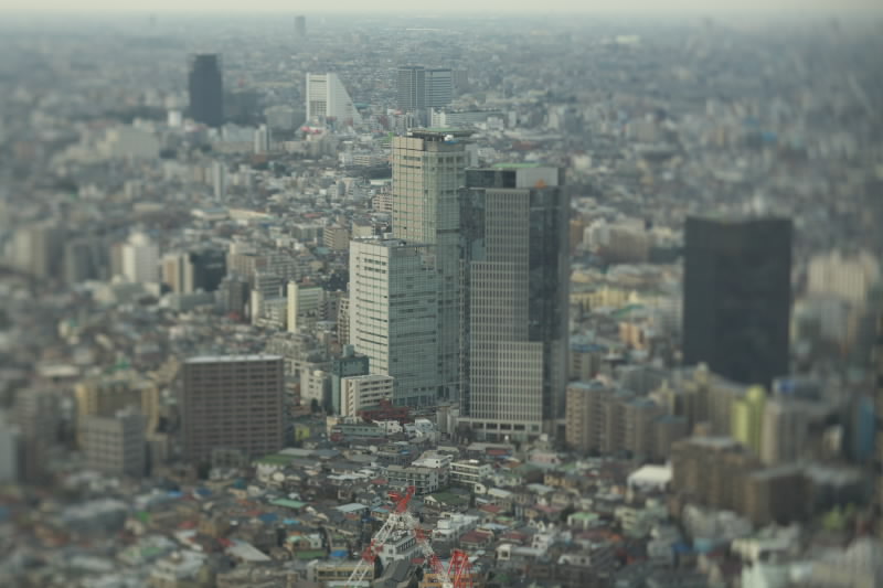 f0014815_22572919.jpg
