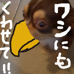 c0036617_21573674.jpg