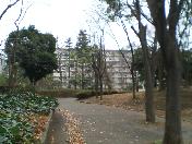 d0107938_16274545.jpg