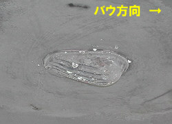 c0041039_9423442.jpg
