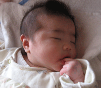 f0047439_12245410.gif