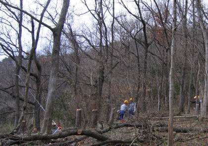 e0049740_18373662.jpg