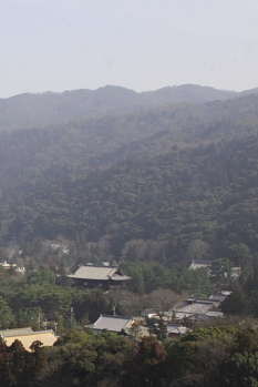 d0104052_114920.jpg