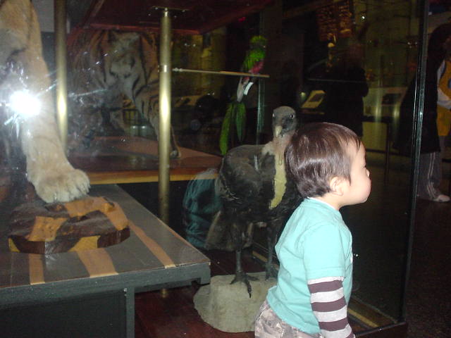 e0015154_84545.jpg
