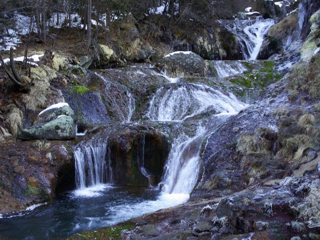 f0033856_1730517.jpg