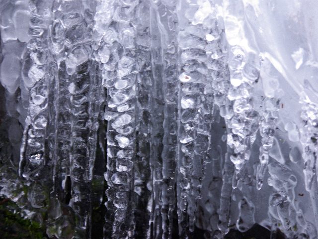 f0033856_17335015.jpg