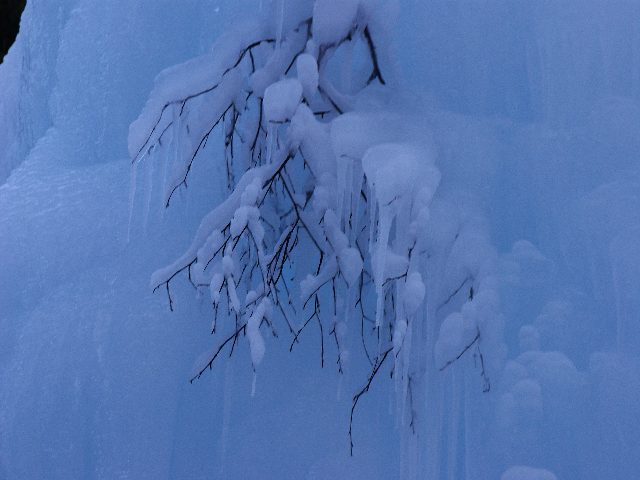 f0033856_17343076.jpg