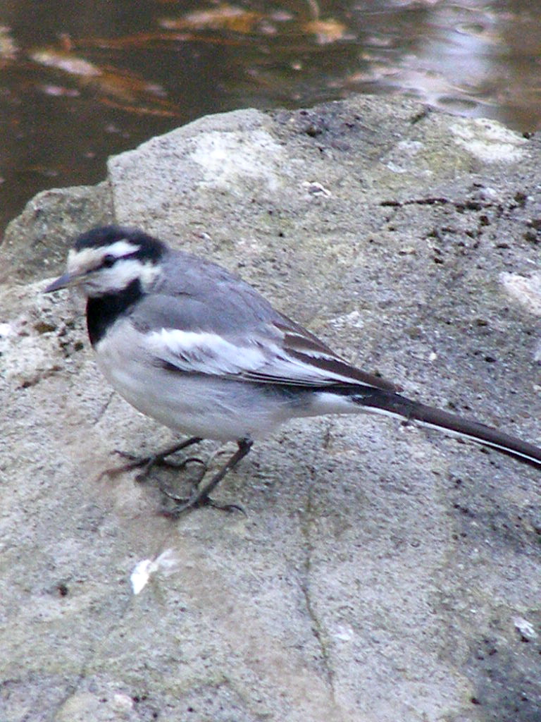 e0064158_050934.jpg