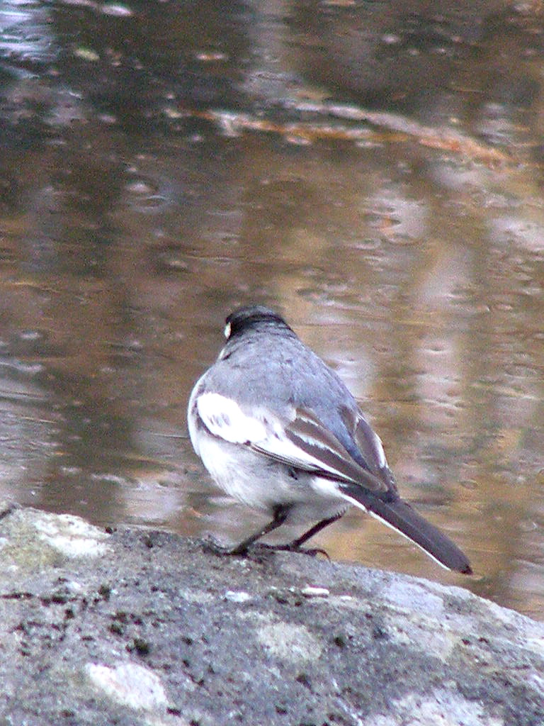 e0064158_0523474.jpg