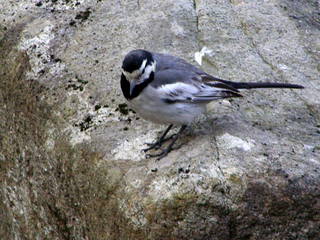 e0064158_0542014.jpg