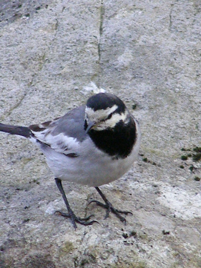 e0064158_0584730.jpg