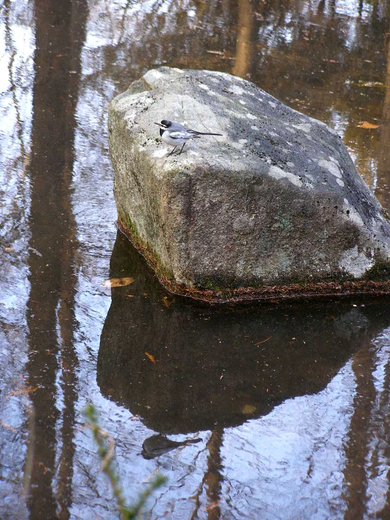e0064158_1172233.jpg