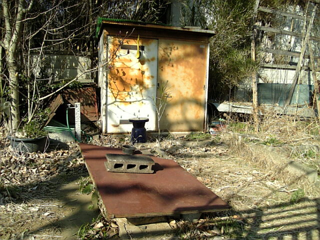 e0083359_03928.jpg