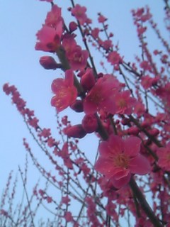 a0041964_044272.jpg