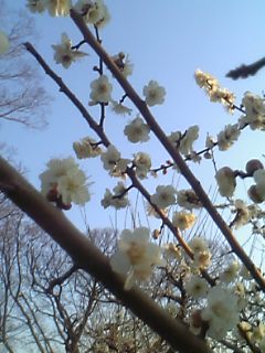 a0041964_052097.jpg