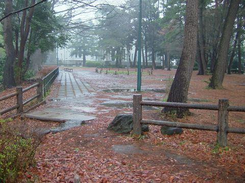 a0009666_17484854.jpg