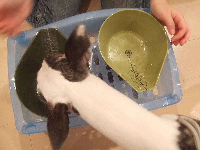 e0003270_23111180.jpg