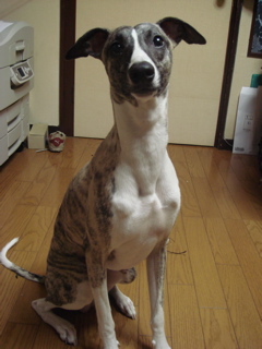e0003270_23171631.jpg