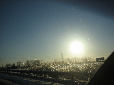 e0015270_1305631.jpg