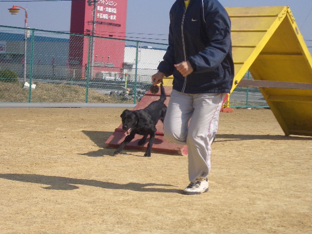 f0120770_055322.jpg