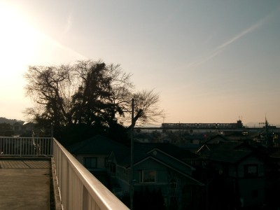 c0112172_12342169.jpg