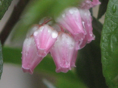d0050472_13403847.jpg