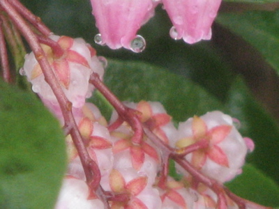 d0050472_14202090.jpg