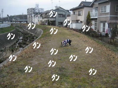 c0092787_1082283.jpg