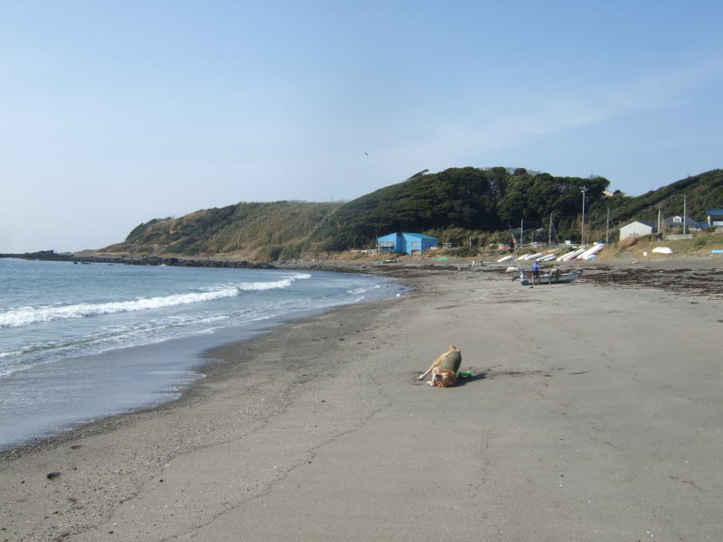 c0104492_1348982.jpg