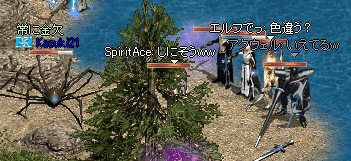 b0052295_3185378.gif