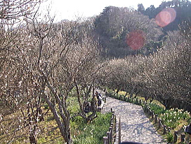 c0008598_16402023.jpg
