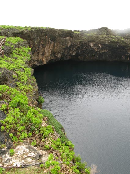 e0064400_83859100.jpg