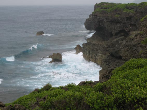 e0064400_8453322.jpg