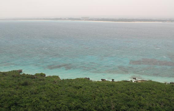 e0064400_8463516.jpg