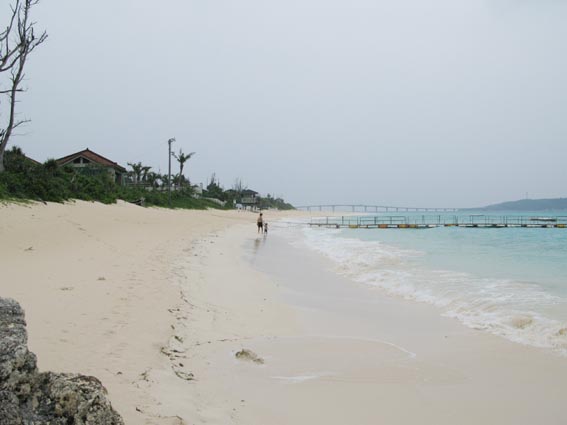 e0064400_8513887.jpg