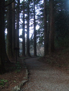 f0041606_1084515.jpg