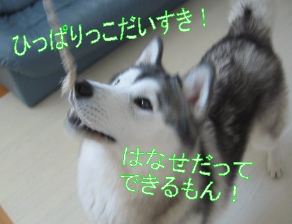 f0112407_2333949.jpg