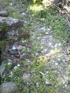 e0016709_035098.jpg